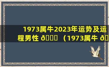 1973属牛2023年运势及运程男性 🐋 （1973属牛 🌻 2024年运势及运程每月运程）